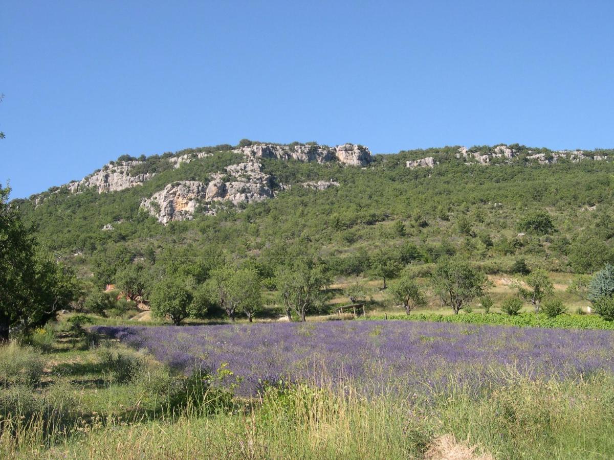 Willa Domaine De Bois Joli Buis-les-Baronnies Zewnętrze zdjęcie
